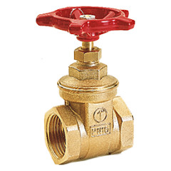 R55 �up�tkov� ventil FF